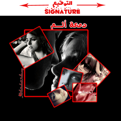 روعة البنفسج Ghgh10
