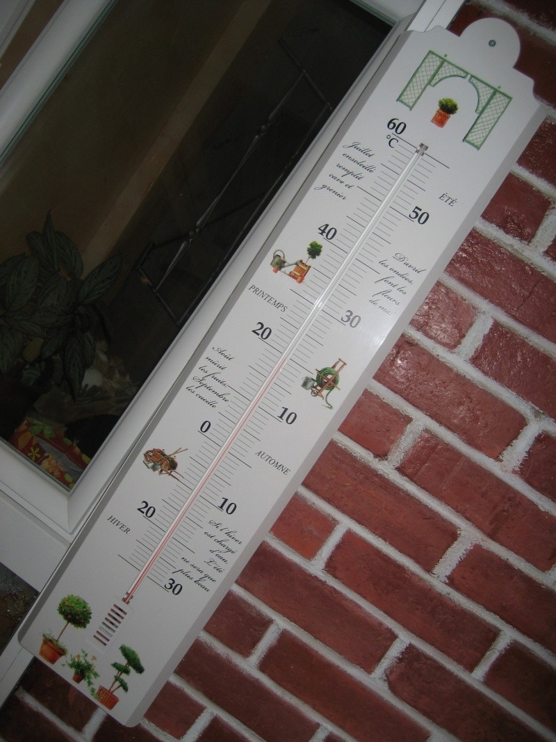 Je recherche un thermomètre avec du fer forgé ! - Page 3 Thermo10