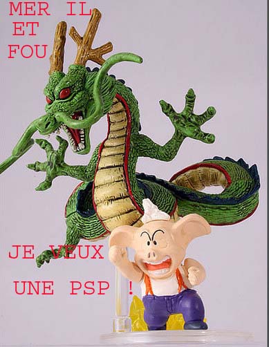 MER IL EST FOU!!!!!!!! Dbzfou11