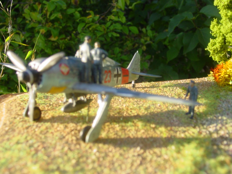 FW190 "Heinz Bar" Dsc00812