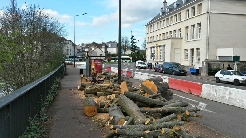 Aménagement du quai Prévert-Poste : Quand l'élagage des arbres devant la poste est en fait un abattage... un de plus. 20160413