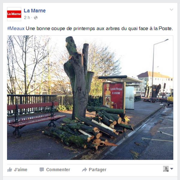 Aménagement du quai Prévert-Poste : Quand l'élagage des arbres devant la poste est en fait un abattage... un de plus. Temp10