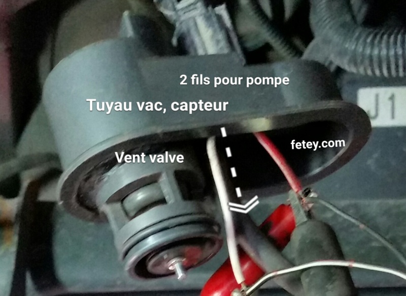 Corolla, Scion XD 2005 1.8L, codes évap P043E, P043F, P2401, P2402, P2419 + diagnostique LDP 2016-078