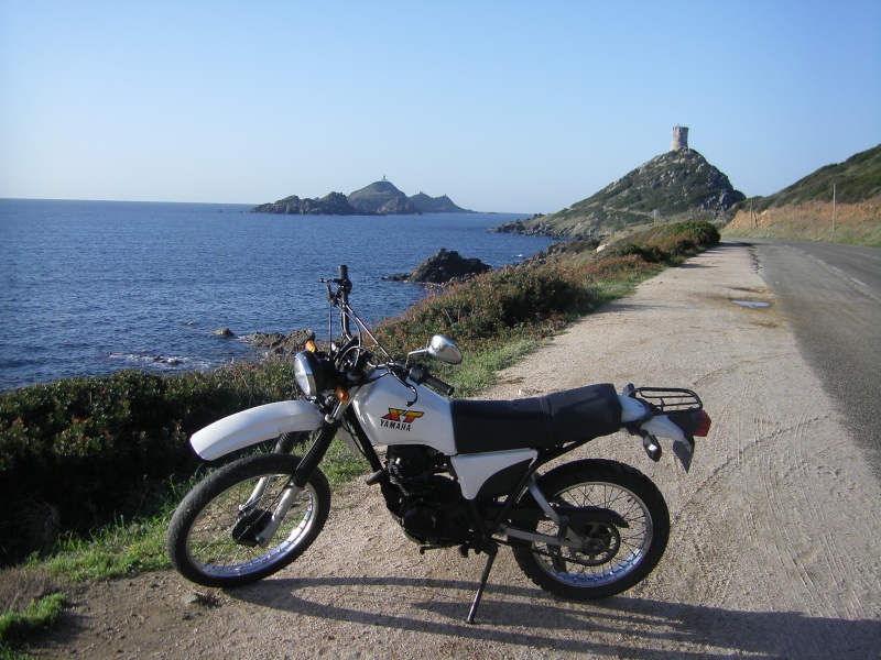 Remise en état et changement de moteur d'un xt 125 de 1982 Sth72410