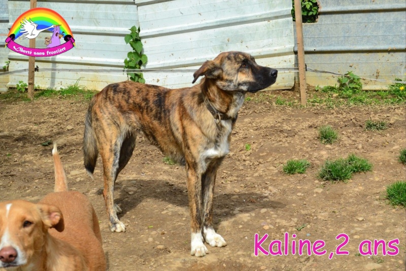 KALINE,2 ans Kaline10