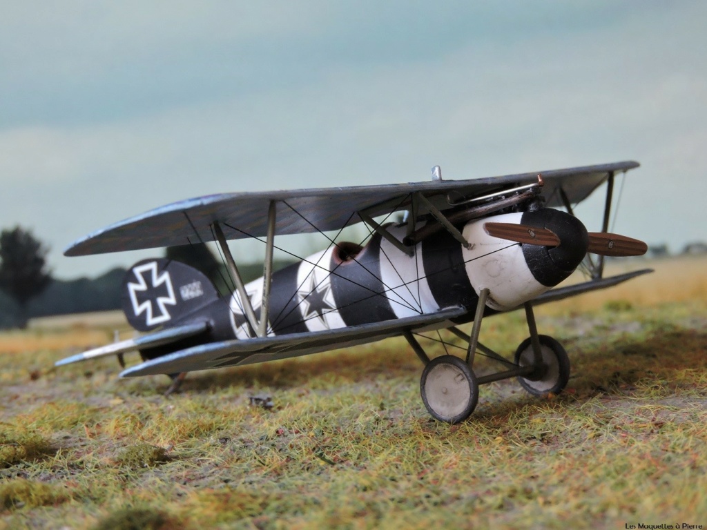 * 1/72 ALBATROS DV EDUARD Albat113