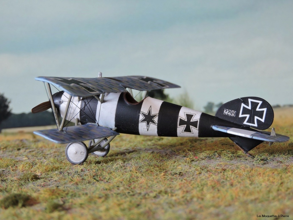 [EDUARD] ALBATROS D.V 1/72 (aldv) Albat115