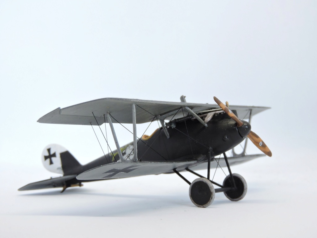 [RODEN] 1/72 - PFALZ D.IIIa Pfalz_46