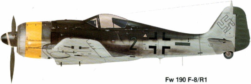 focke wulf 190 - [italeri] focke wulf 190A ou F et 190 D9 "FINIT" Profil10