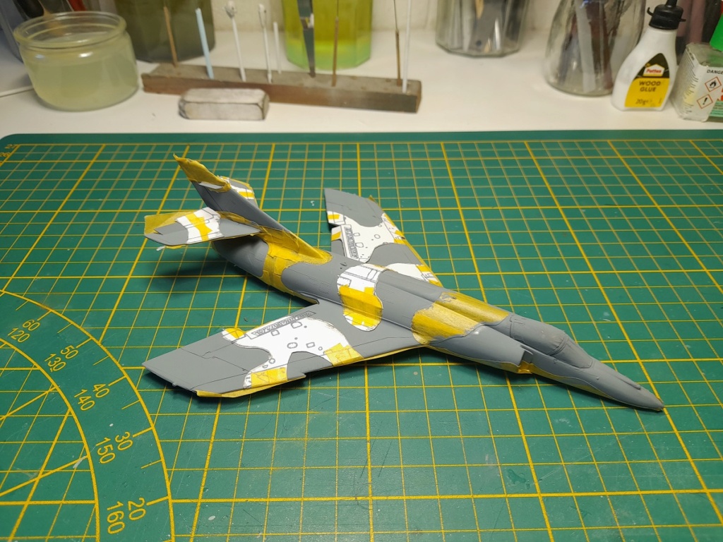 Camouflage avion Super_70