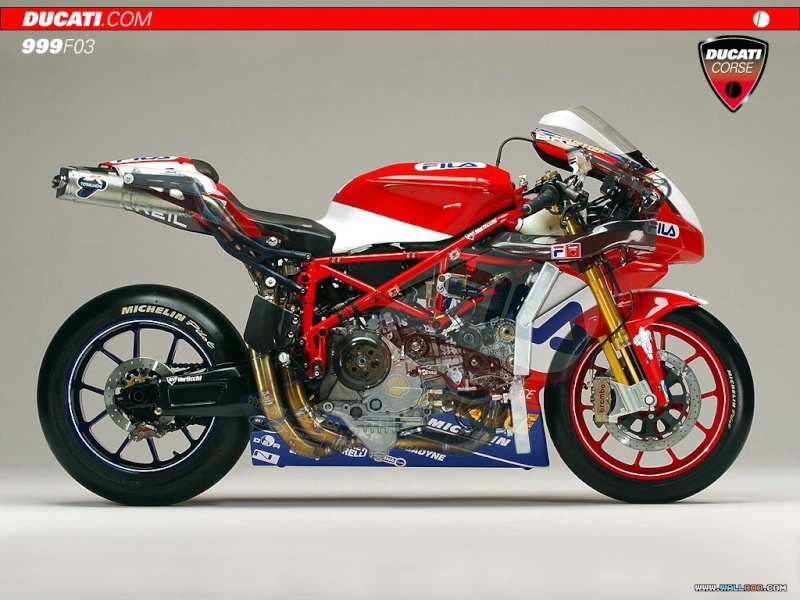 DUCAT Ducati16