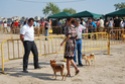 Concursos Caninos - Pgina 2 2009-093