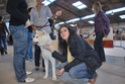 Concursos Caninos - Pgina 4 2009-120