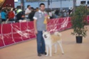Concursos Caninos - Pgina 4 2009-127