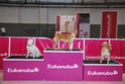 Concursos Caninos - Pgina 4 2009-148