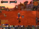 World of Warcraft Logray11