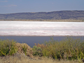 LAGO MAGADI Lagoma10