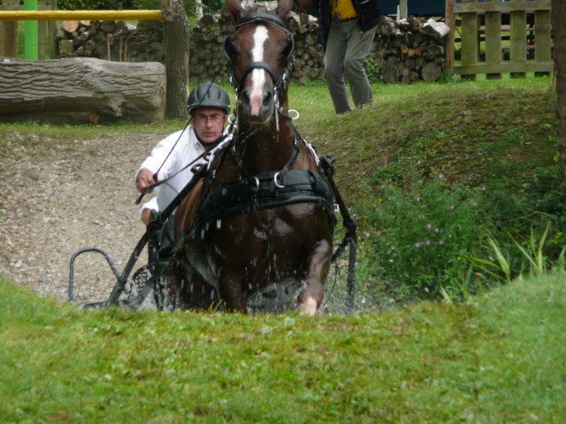 Le Mondial des chevaux de Traits à Conty Mondia11