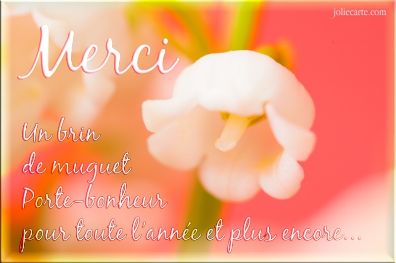 Le 1er Mai  Merci-10