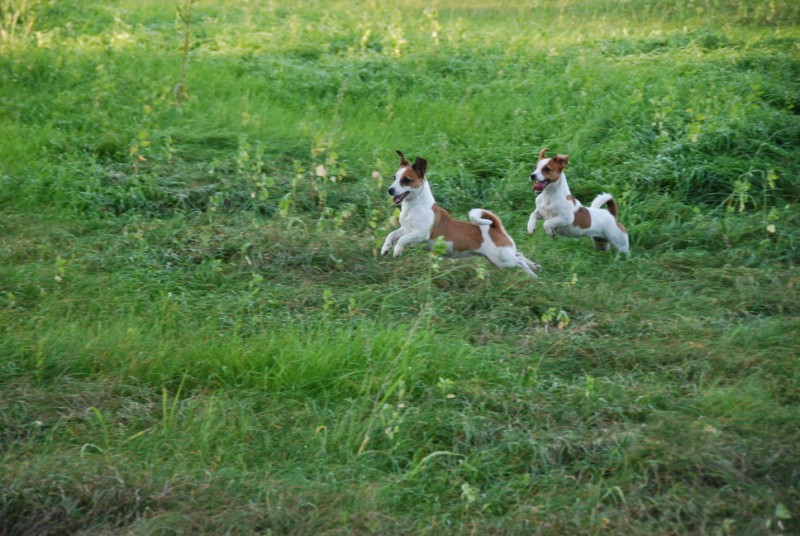 Ci siamo anche noi! Dsc_4612