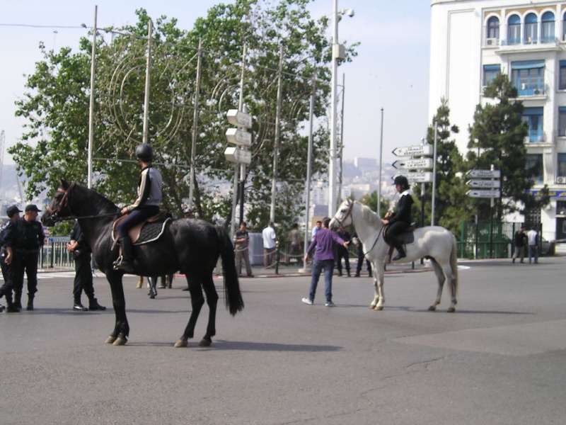 Une journée sans voitures à Alger vendredi Gyg10