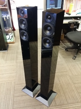 Audiopro Black Star Floorstand Speaker 20160419