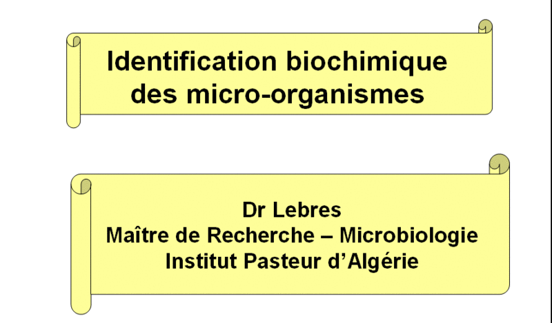 Identification biochimique des microorganismes 1-ckte10