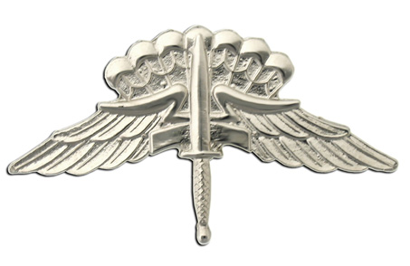 Qualification Badges of US Army Uniforms Halo2010