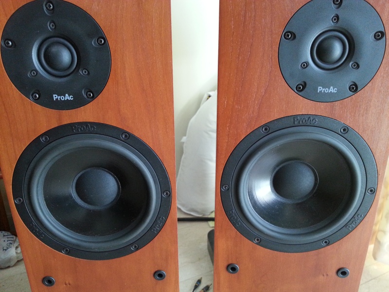 ProAc Studio 130 Speaker (sold) Pictur10