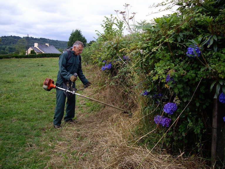 Débroussaillage au Quinquis Imgp8015