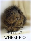LITTLE WHEEKERS