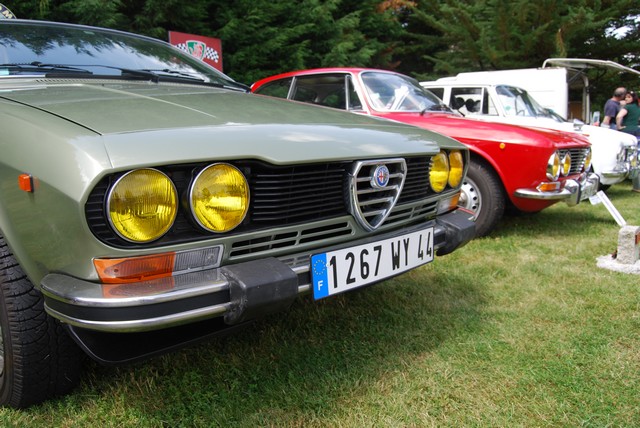 Alfa Roméo Alfetta GTV (1974 - 1987)... Dsc_2270
