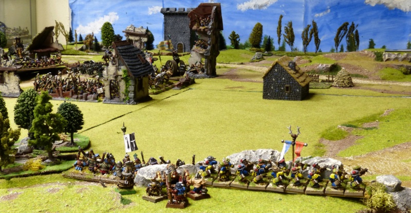 Warhammer Fantasy, Galerie de Batailles - Page 17 P1220142