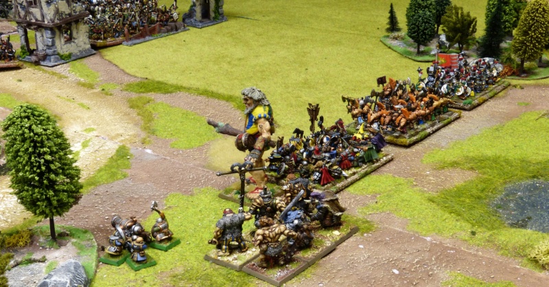 Warhammer Fantasy, Galerie de Batailles - Page 17 P1220144