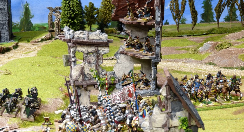 Warhammer Fantasy, Galerie de Batailles - Page 17 P1220146