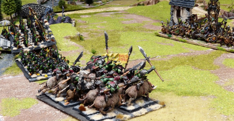 Warhammer Fantasy, Galerie de Batailles - Page 17 P1220149