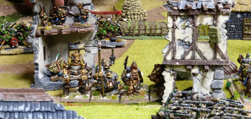 Warhammer Fantasy, Galerie de Batailles - Page 17 P1220155