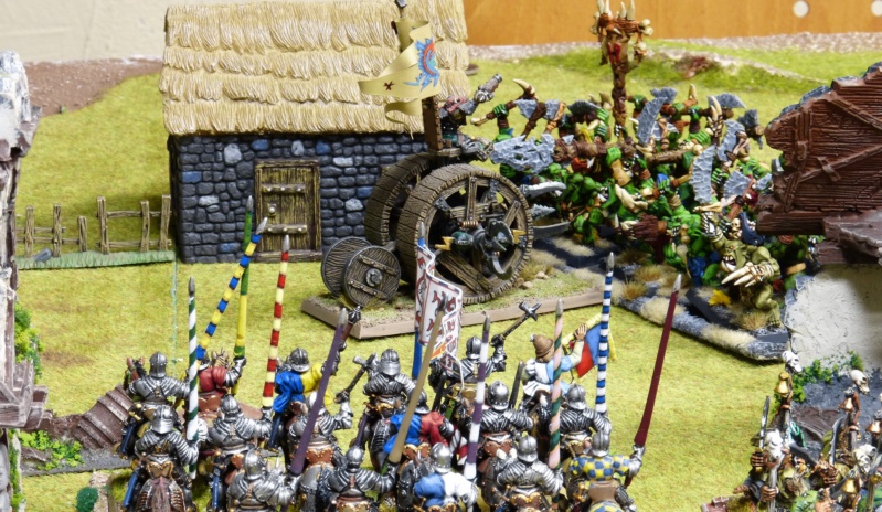 Warhammer Fantasy, Galerie de Batailles - Page 17 P1220156