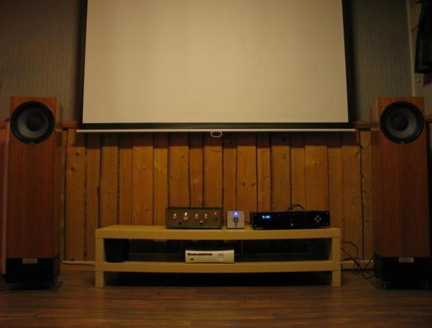 Draper Luma projection screen & Sanyo PLV-Z1 projector (New) Zzzzzz47