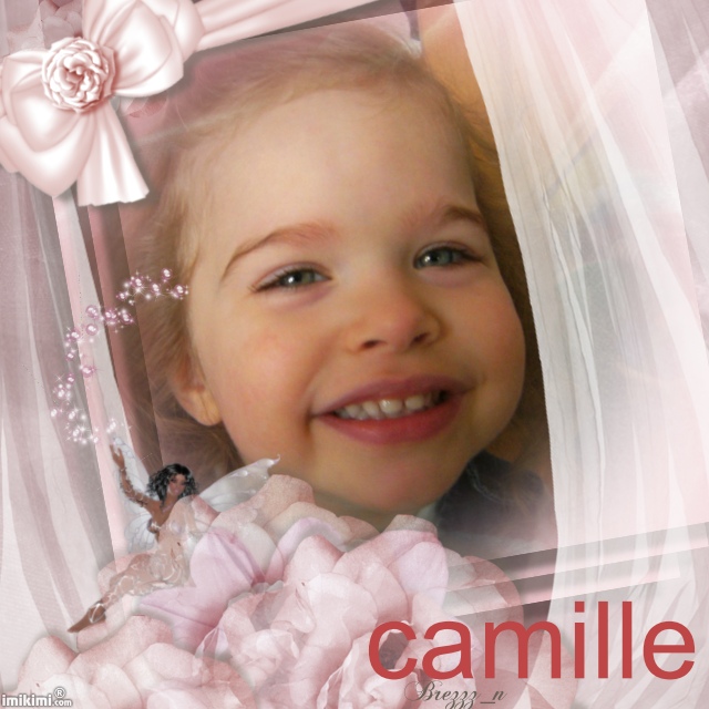 montage camille Camill15