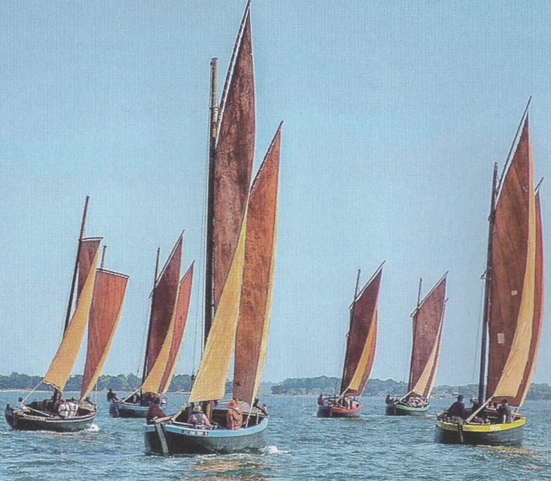 LA MARIE JEANNE Thonier de Concarneau d'Artésania Latina au 1/50e un de plus par TAZ  de Penn Ar Bed. - Page 29 Tous_l10