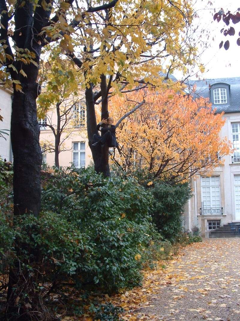 L'automne à Paris ou ailleurs Paris218