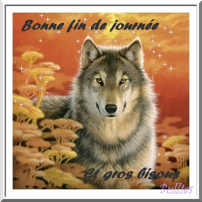 Preum's du jour - Page 18 E5a26d10