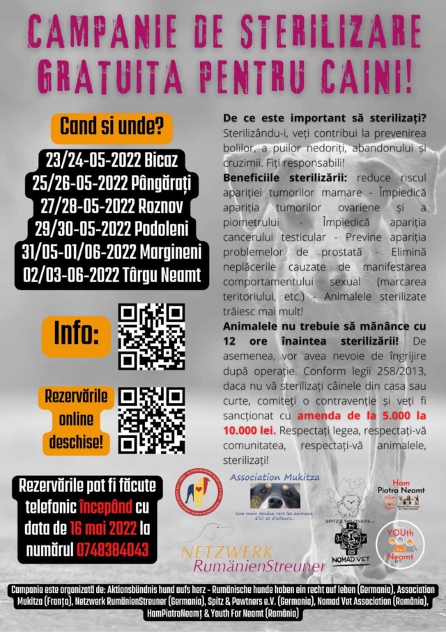 Campagne de stérilisations Piatra Neamt  MAI 2022 - SEPTEMBRE 2022 0bcbfb10