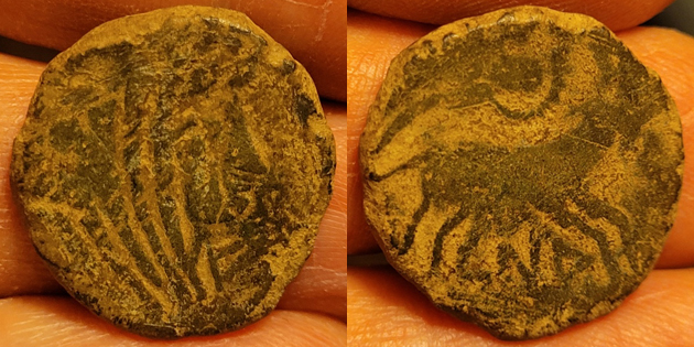 Bronze au taureau Neronken - Nédènes (oppidum de Montlaurès) Nzoron10