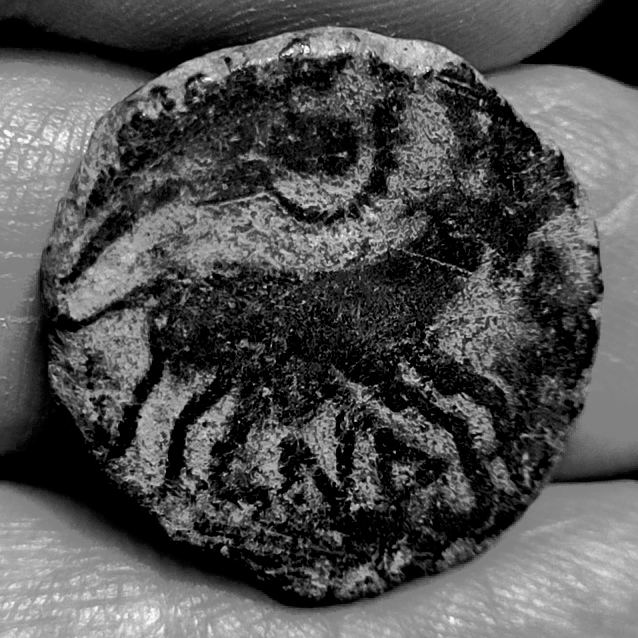 Bronze au taureau Neronken - Nédènes (oppidum de Montlaurès) Potin10