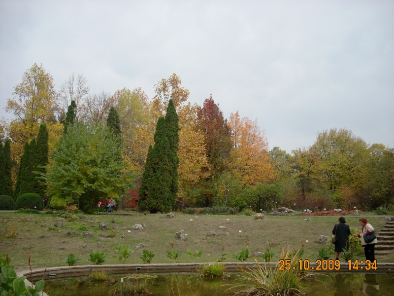 Expozitia de flori de toamna -Gradina Botanica A. Fatu-Iasi Gradin49