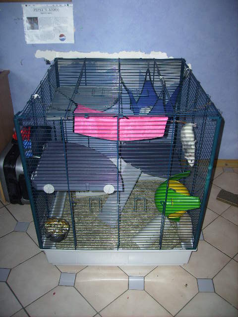 Vend FURET XL et FREDDY 2 dans le 02 Pict5215