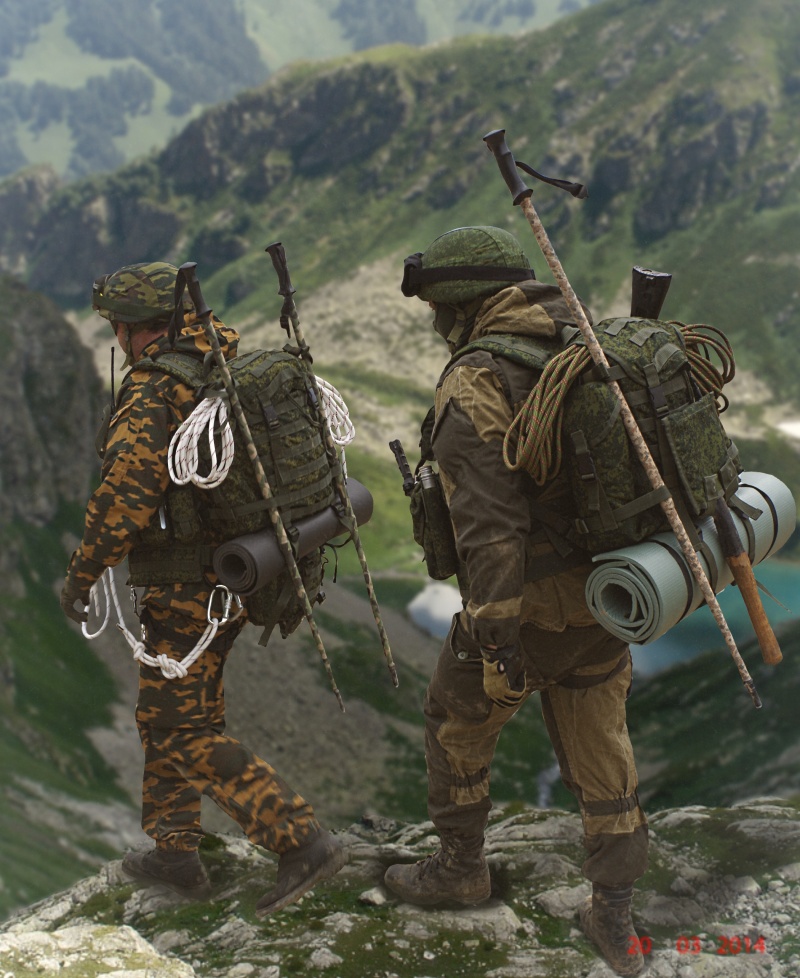 34e Brigade De Montagne, Caucase 2014 14611814