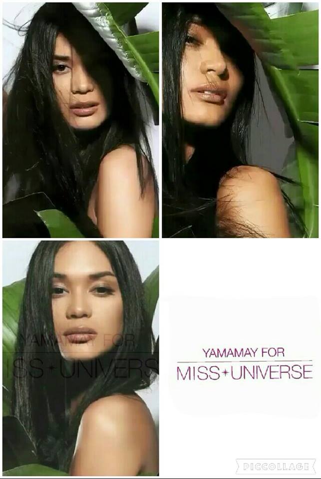 ♔ The Official Thread of MISS UNIVERSE® 2015 Pia Alonzo Wurtzbach of Philippines ♔ - Page 29 13413710